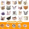 50 Наліпок з котами Набір емодзі кота-інтернет-зірки Графіті наліпки Милі смішні наліпки з котячими головами