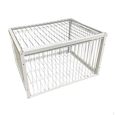 Automatic Pigeon Collector Trap for Feral Birds And Cardinals