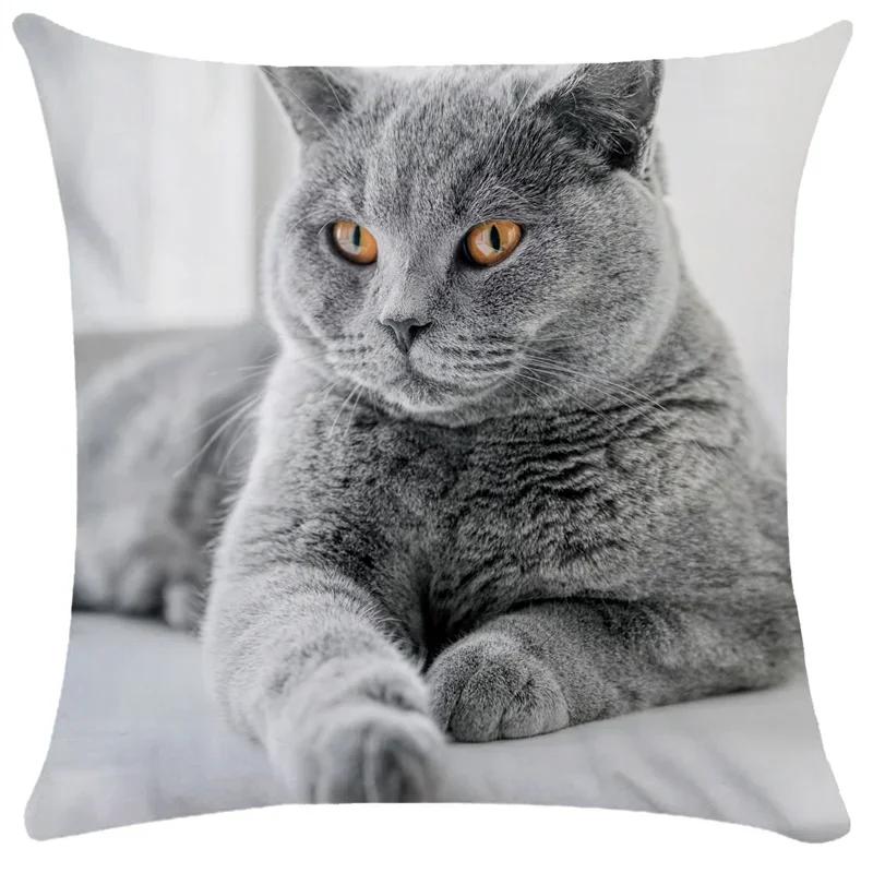 

Cute Pet Cat Pillowcase Sleeping Bubble Black Kids Gift Cushion Cover Sofa Living Room Home Decor Custom, 66x66cm