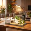 Turtle Basking Aquarium Animal Sink Wharf Ornament Decor Climbing Ramp for Bearded Dragon
