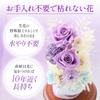 bloomee Glass Dome Preserved Flower Arrangement Set of 2 Mini Funeral Flowers Buddhist Memorial and No Vase Needed Suitable for Pets and Dogs