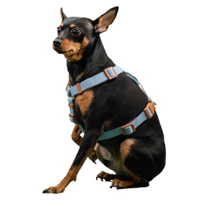 Bodelang Puppy Pure Cotton H-shaped Chest Strap, Baby Blue