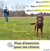 Longe pour chien - piupet - 10m - hydrofuge - confortable - mousqueton rotatif 360°