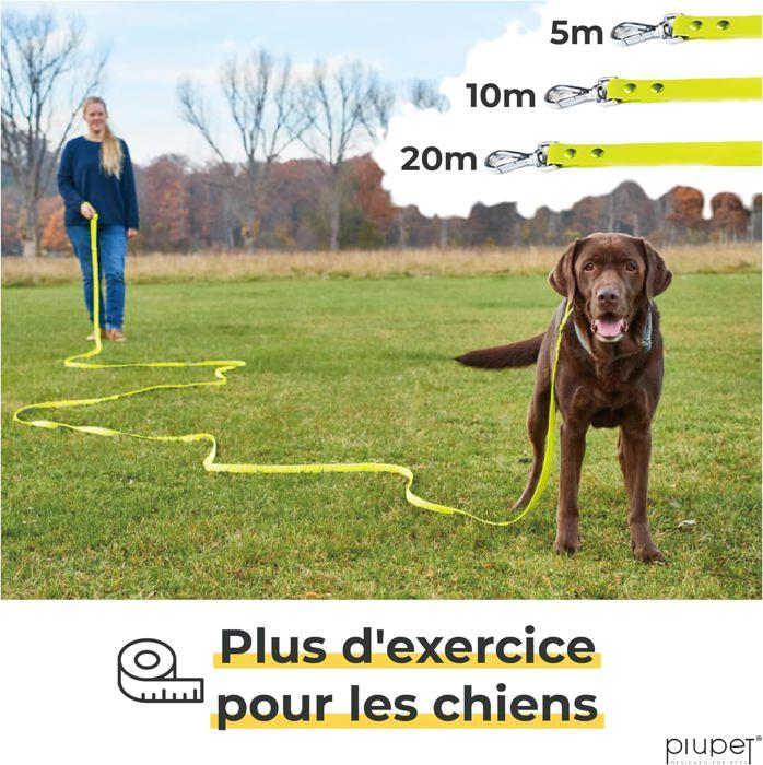 Longe pour chien - piupet - 10m - hydrofuge - confortable - mousqueton rotatif 360°