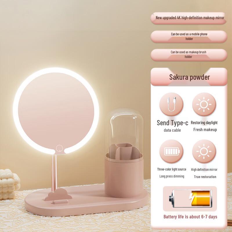 

Oeny LED Makeup Mirror with Storage