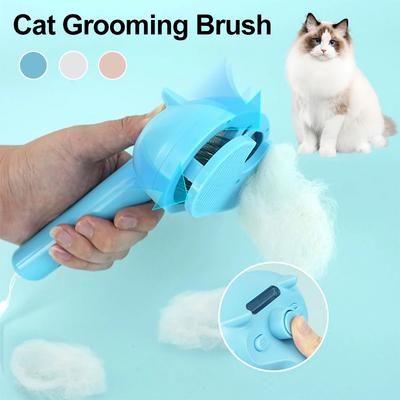 Perros – Productos de peluquería canina