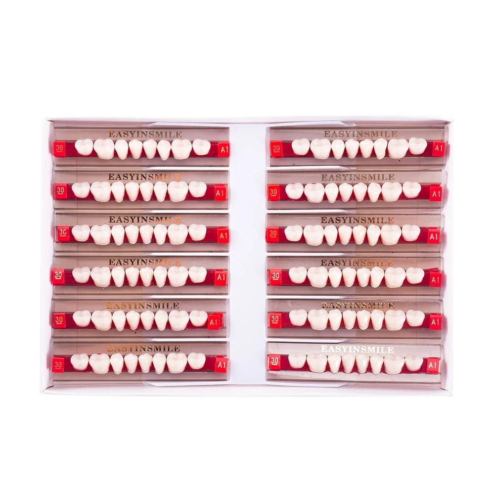16/12 Sätze/Karton Zahnprothese Zähne Oberkiefer Frontzähne Unterkiefer Seitenzähne Dentier Synthetisches Polymerzähne Zahnmedizinische Ausbildungsmodell