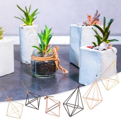 Stacje rozmnażania Szklane terrarium dla roślin Kształt geometryczny Roślina Żelazny stojak Uchwyt na rośliny powietrzne Wystrój biura domowego