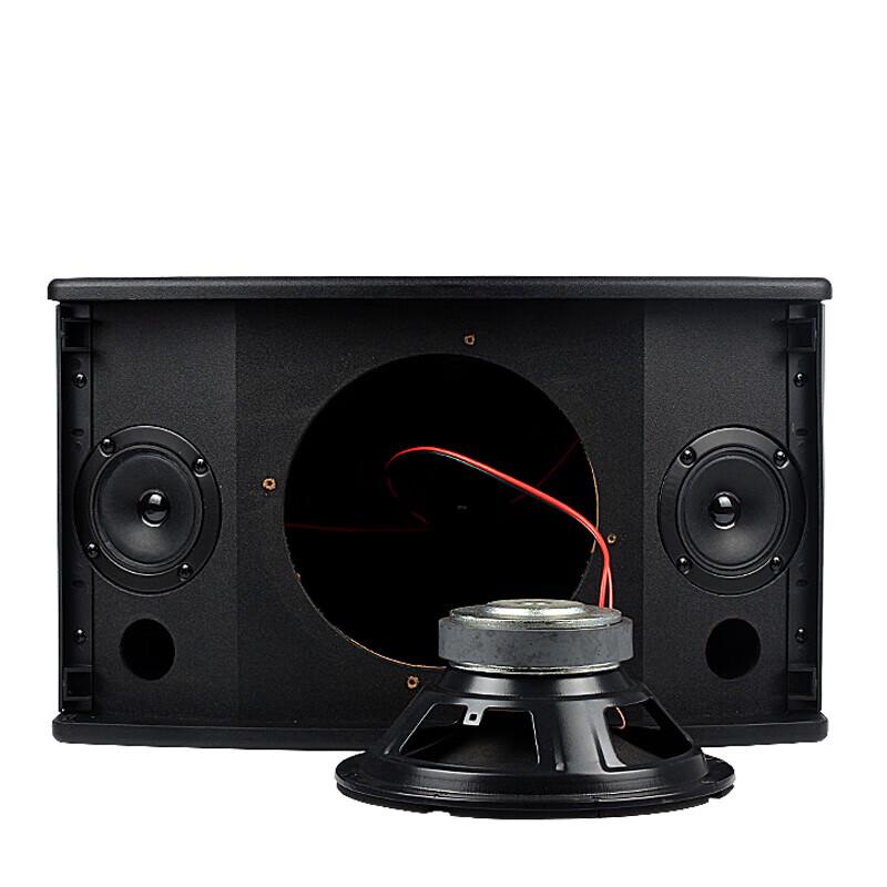 KAXISAIER 10-inch Professional KTV Karaoke Speaker