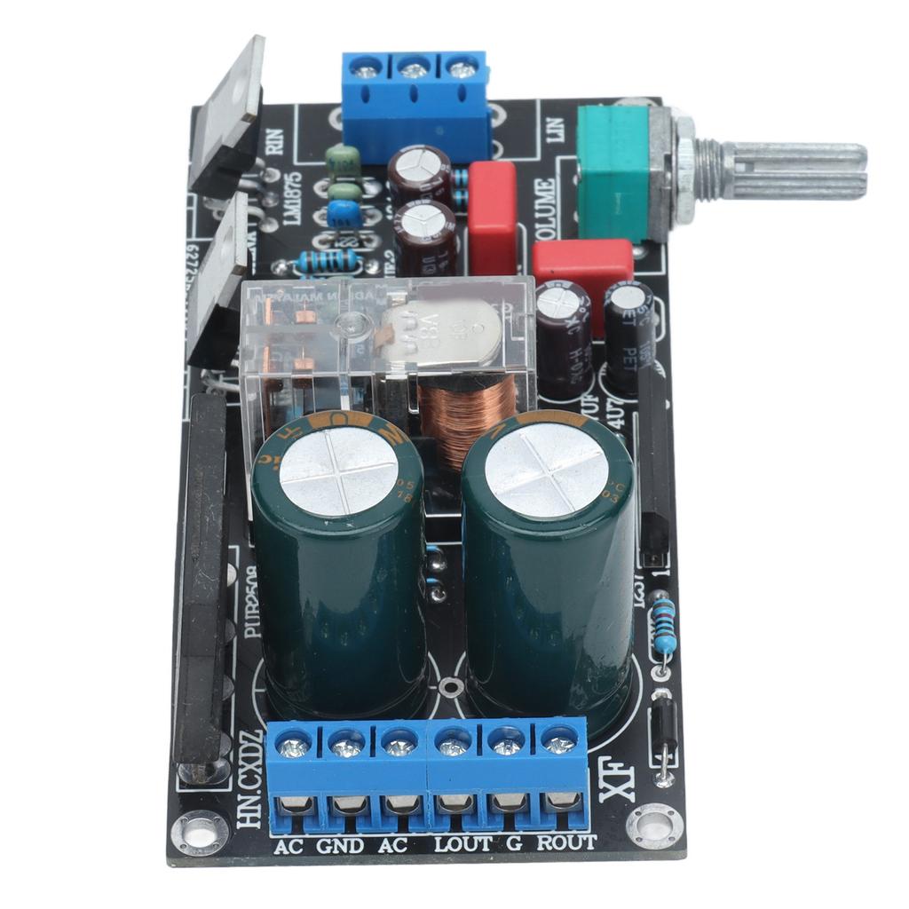 Scheda Amplificatore 2.0 Doppio Canale Protezione Altoparlanti Volume Regolabile LM1875T per 2030