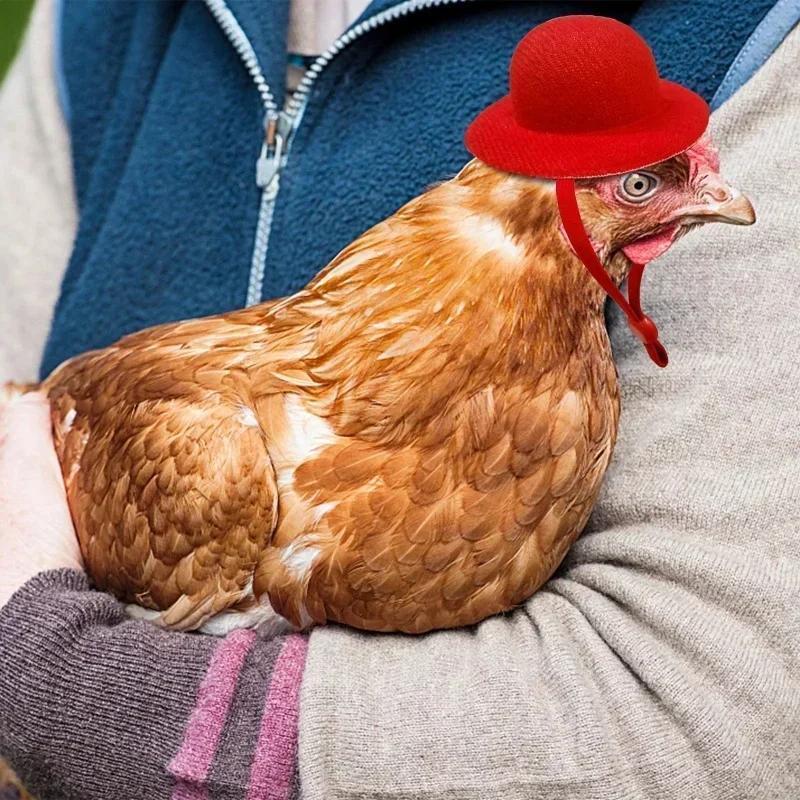 Hat for Hens Tiny Pets Chicken  Household Pets Head Decor Chicken Hen Top Hat for Rooster Duck Parrot Hamster Poultry
