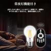 LVWIT LED Filament Bulb, E26 Base, Dimmable, Color Temperature Adjustable, with Remote Control, Retro Style, Ambient Light, Daylight White, Cool