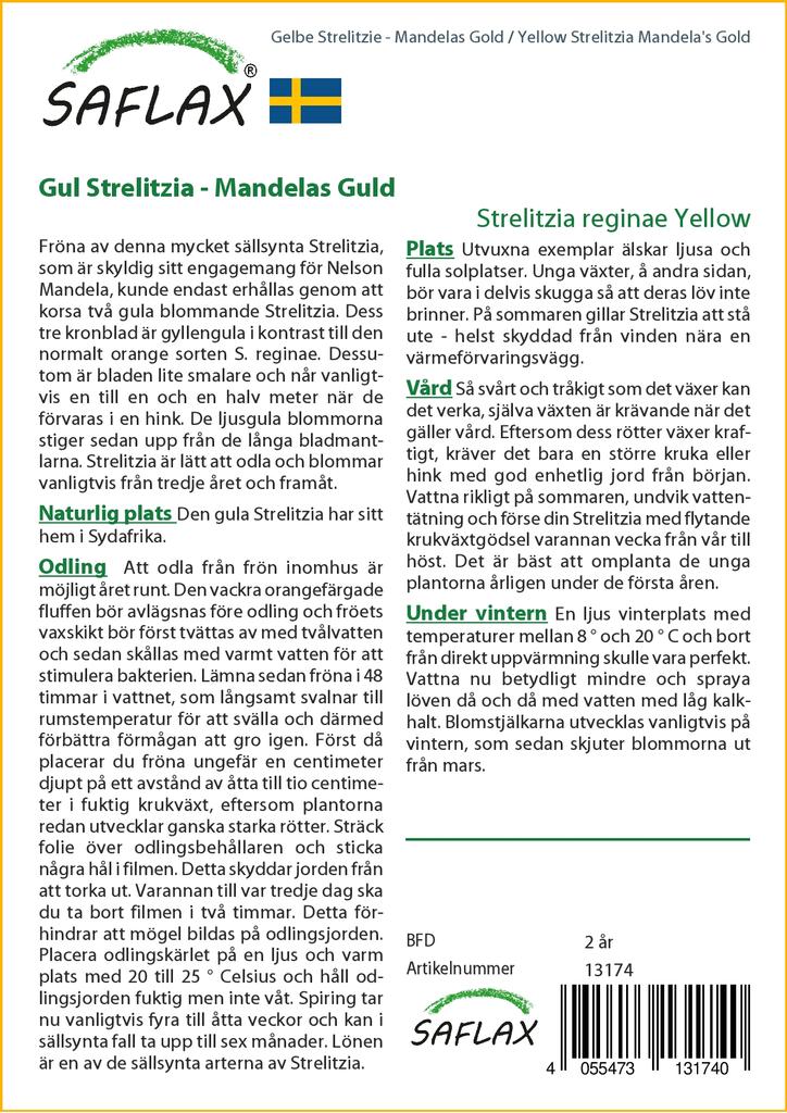 SAFLAX Strelitzia gialla Mandela's Gold - 4 semi - Strelitzia reginae gialla