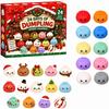 Slow Resilience Christmas Dumpling Advent Calendar 24-Day Countdown Calendar  for Kids&Adults