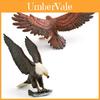 Childrens Wildlife Bird Model Pvc Desk Decor For Learning And Education