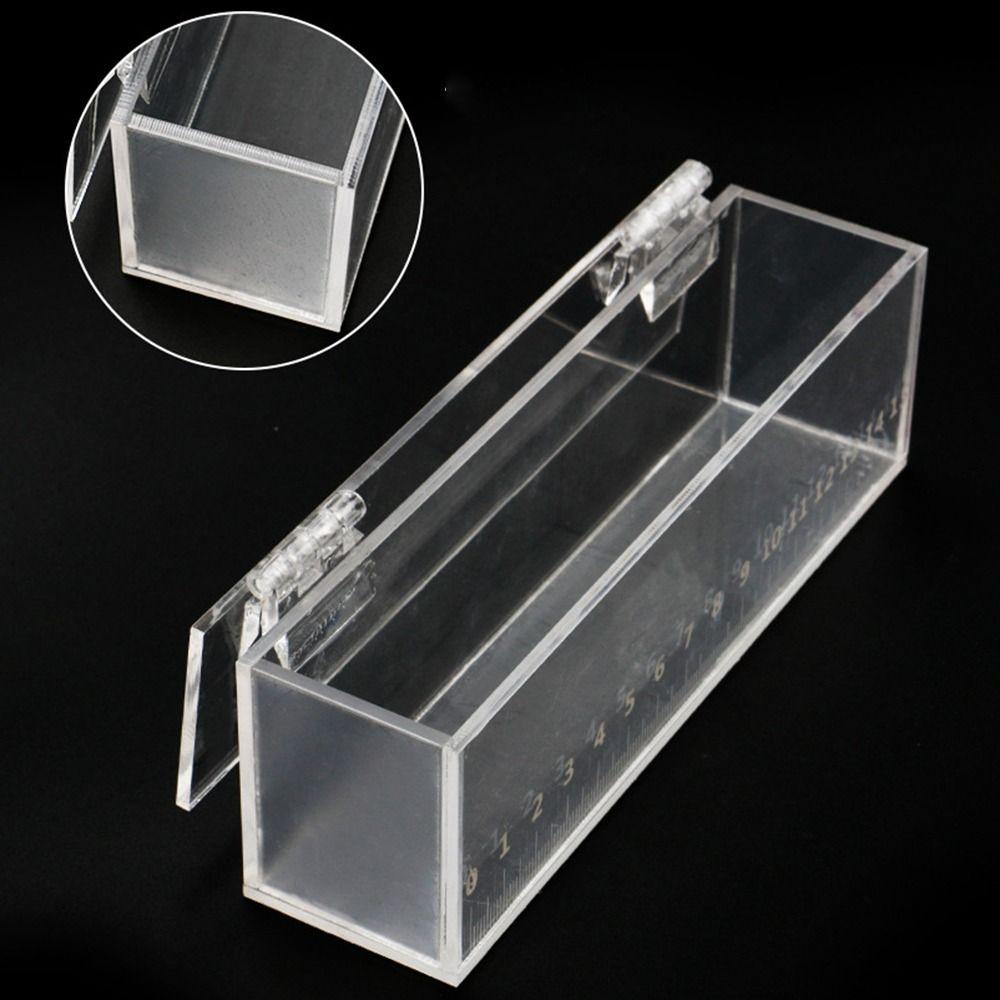 Transparent Fish Viewing Box Mini Rectangle Desktop Goldfish Bowl Broken Resistant Micro Landscape Acrylic Fish Tank Crickets