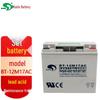 BAOTE Maintenance-Free 12V Lead-Acid Battery