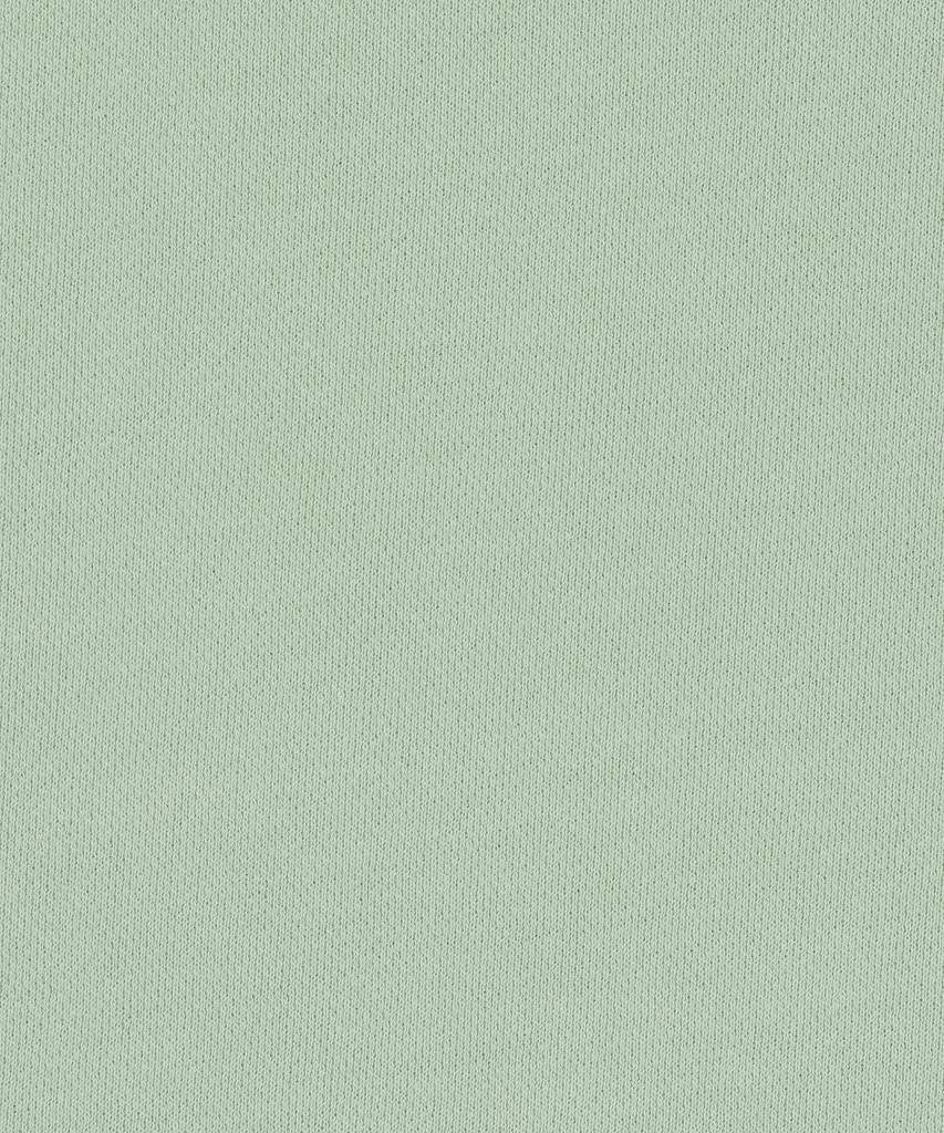 WACKY WILLY Women'S Semi-Overfit Pigment Sweatshirt Mint
