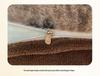2025 Merlad Double-Sided Furry Velvet Bedspread & Sheet Set