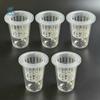 Transparent Plastic Hydroponic Mesh Cups Plant Propagation Vegetable Nursery Clear Hydroponic Pots Flowerpot Planting Container
