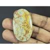 27X47X05MM Natural Bird Eye Jasper Oval Shape Cabochon Loose Gemstone 62Cts. G-278