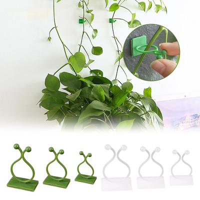 10PCS Plant Climbing Wall Fixture Clips Self-Adhesive Vine Buckle Hooks Sticky Rattan Clamp Fixators Invisible Fixing Devices
