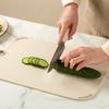 Zhang Xiaoquan Antibacterial Anti-mold Plastic Cutting Board