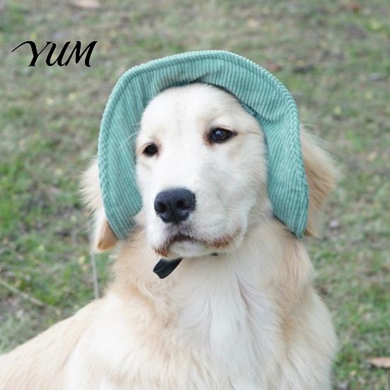 Ayarlanabilir Evcil Hayvan Şapkası Kadife Köpek Beyzbol Şapkası, Kulaklı Kedi Yazlık Plaj Vizör Şapkası Dış Mekan Koruma Delikli, Küçük Orta Boy Köpek Yavrusu Güneş Şapkası Başlık