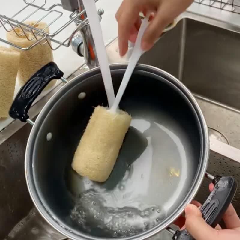 PINYU Natural Luffa Dish Brush with Handle