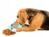Interactive Dog Ball 790-13A (144) Gab_B