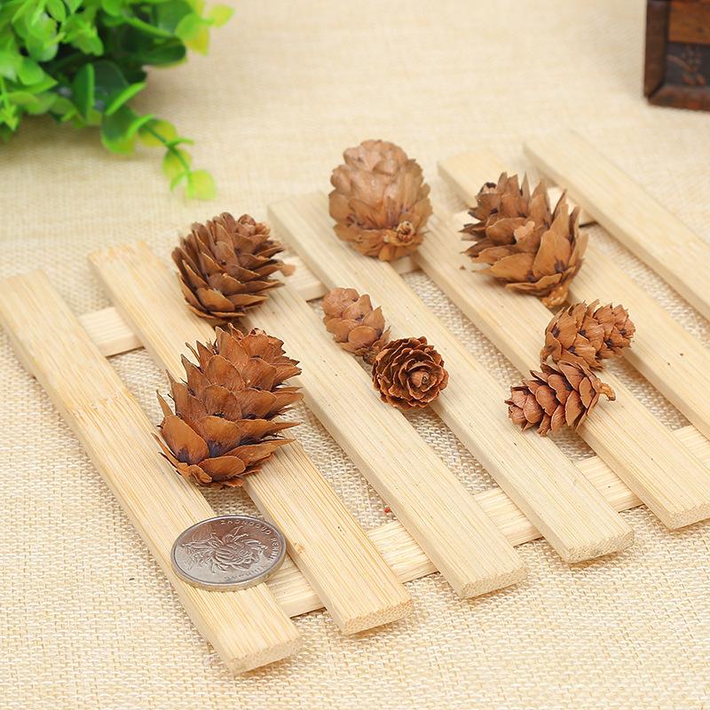 Natural Pine Cones 2-3Cm Pine Balls Pine Flowers Dried Flowers Plants Christmas Decoration Ornaments Accessories Micro Landscape Shooting