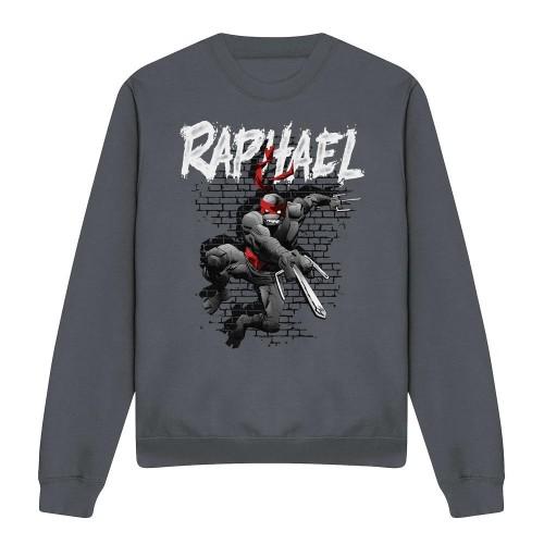 Teenage Mutant Ninja Turtles Unisex Adult Raphael Sweatshirt