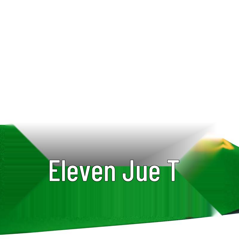 High Wool Billiard Table Cloth with TV66 Side Cloth