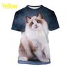 Women's T-Shirts Harajuku Cat Graphic Print 3D Tops Summer Short Sleeve Casual Tees Kawaii Animal T Shirt