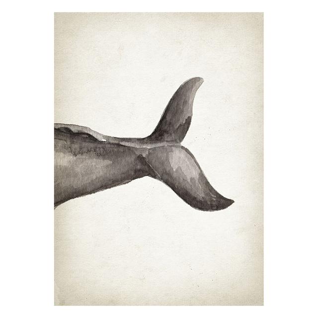 Marine Animals Canvas Paintings Great White Shark Posters and Prints Killer Whale Wall Art Picture for Home Decoration No Frame