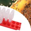 Queen Bee Cages Beekeeping Cell Protection Queen Bee Isolation Plastic White Move Queen Bee Beekeeping Equipment