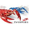 Free Research Series No. 24 Living Creatures Edition American Crayfish (Red) Plastic Model
