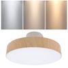 Modern LED Ceiling Light Minimalist Round Ceiling Lamp Fixture with Remote 3 Color Temperature Stepless Dimming for Living Room Bedroom Laundry Room