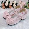 Shoes New Medium Heel Low Heel Lolita Elegant Girl Single Shoes French Retro Mary Jane Shoes