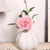 Handgefertigter Zwiebelform Keramiktopf Dekorativer Blumentopf für Wohnzimmer oder Arbeitszimmer Stabile Oberflächen Leicht zu pflegen