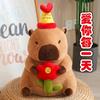 Capybara Plush Doll Cute Capibara Anime Fluffty Toy Kawaii Plushie Happy Birthday Doll Gift for Girl Friend Soft Stuffed Animals