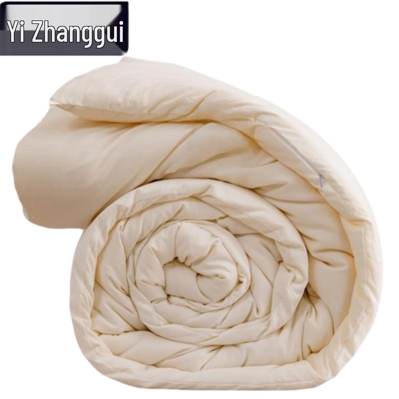 Yizhanggui Thickened Winter Quilt