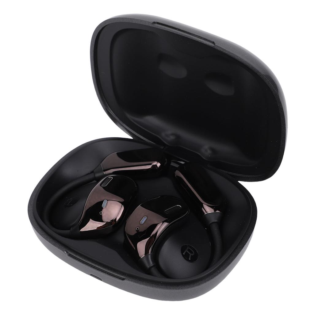 AI Translation rbuds Rl Time 133 Languages Translating Wireless   5.4 Hdphone Translator Device with APP for Travel Business