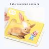 Made In Korea, KC-Certified – Korean-Made Bebefinn Real Animal Puzzle (4 Pieces × 4 Designs)