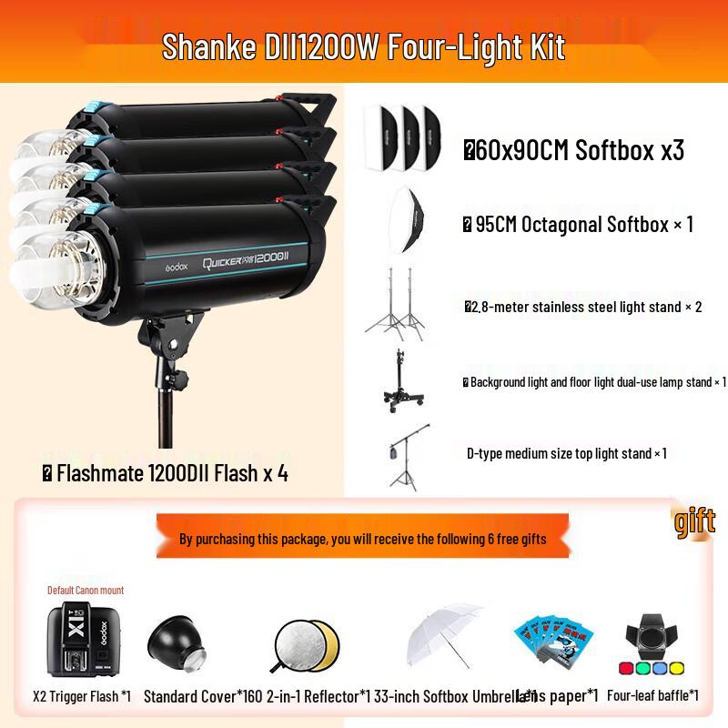 Godox DII Series Studio Flash Kit