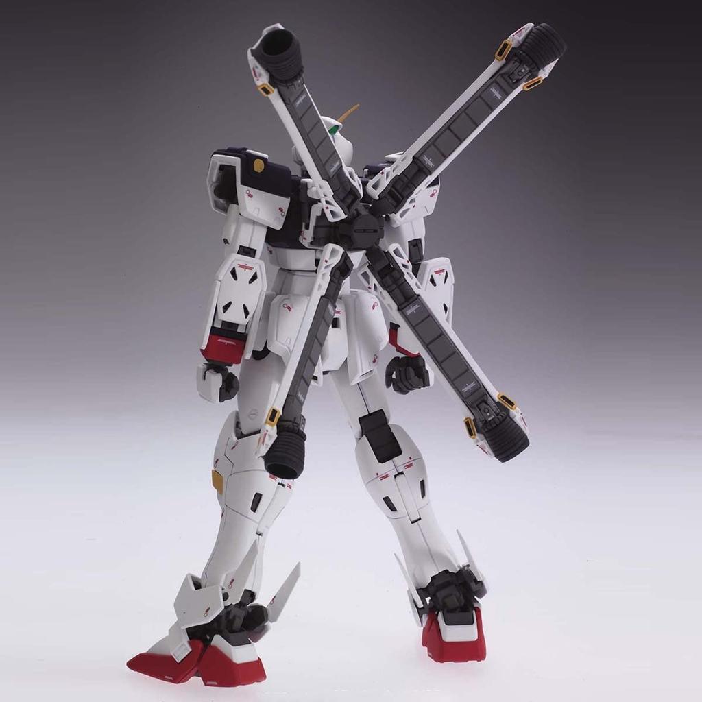 MG Mobile Suit Crossbone Gundam Crossbone Gundam X-1 Ver.Ka Maßstab 1100 farbcodierter Plastikmodellbausatz