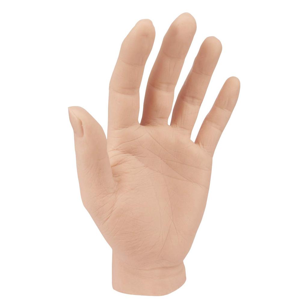 Medarchitect Hand Model Hand Mannequin Silicone Drawing Model Hand Model Display Torso Life-size Hand for Photography and Educational Photographic Mat