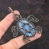 Pendentif Pietersite Pendentif en fil de cuivre enroulé Bijoux faits à la main Pendentif en pierre précieuse Bijoux enveloppés de fil de cuivre Pendentif tortue Cadeau pour femme