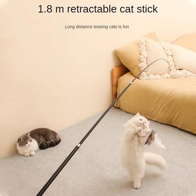 Kedi – Kedi Oyuncakları
