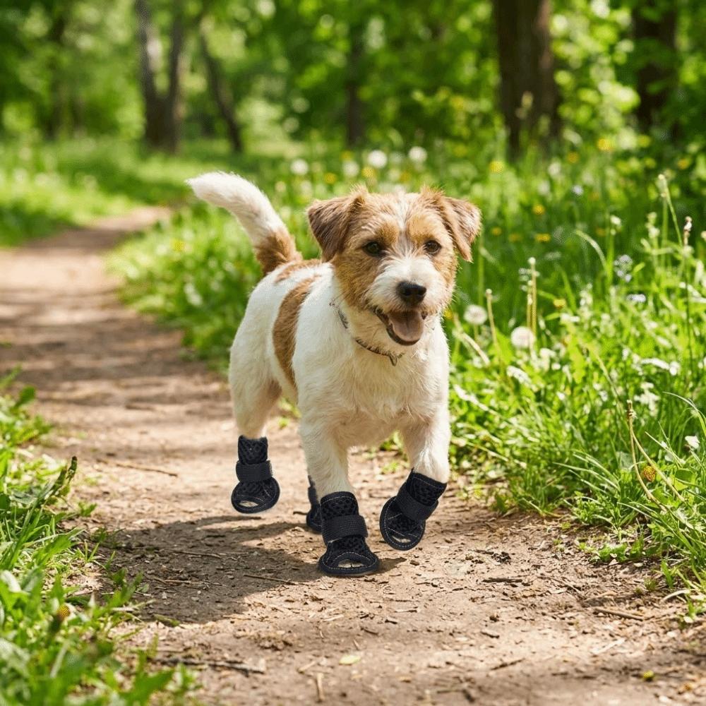 4Pcs/Set Soft Summer Dog Shoes Non-Slip Dog Paw Protector Fashion Hollow Puppy Shoes All Seasons